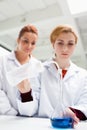 Science students doing an experiment Royalty Free Stock Photo