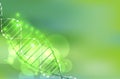 Science template, green wallpaper or banner with a DNA molecules Royalty Free Stock Photo