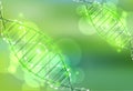 Science template, green wallpaper or banner with a DNA molecules Royalty Free Stock Photo