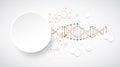 Science template, wallpaper or banner with a DNA molecules. Vector illustration. Royalty Free Stock Photo