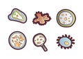 Scientic research cartoon vector icon. Molecules and unicellular organisms under a microscope and magnifying glass