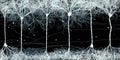 Neuron cells forming net