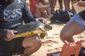 Scientific Capture of Sea Turtles by Tamar Project Projeto Tamar at Praia do Boldro Beach - Fernando de Noronha, Brazil