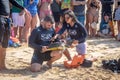 Scientific Capture of Sea Turtles by Tamar Project Projeto Tamar at Praia do Boldro Beach - Fernando de Noronha, Brazil