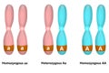 Scientific Designing of Homozygous And Heterozygous Chromosomes