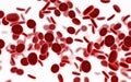 Scientific Discovery: Isolated Red Blood Cells in Vein, Biology Concept for Health Care Royalty Free Stock Photo