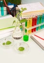 Scientific experiment Royalty Free Stock Photo