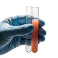 Scientific experiment with test tubes and solutions Royalty Free Stock Photo