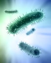 Scientific illustration of bacteria Royalty Free Stock Photo