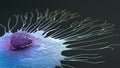 Scientific illustration of a migrating breast cancer cell Royalty Free Stock Photo