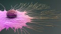 Scientific illustration of a migrating breast cancer cell Royalty Free Stock Photo