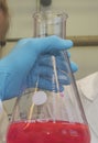 research of chemicals in a chemical laboratory