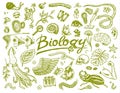 Scientific laboratory in Biology. Icon Set of Biochemistry Research. Living creatures organisms molecules. Medicine in