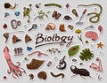 Scientific laboratory in Biology. Icon Set of Biochemistry Research. Living creatures organisms molecules. Medicine in