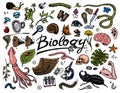 Scientific laboratory in Biology. Icon Set of Biochemistry Research. Living creatures organisms molecules. Medicine in