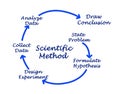Scientific Method Royalty Free Stock Photo
