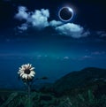 Scientific natural phenomenon. Total solar eclipse with diamond Royalty Free Stock Photo