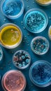 Scientific Petri Dish Assortment, Bacterial Colonies. Microbiology and Biotechnology. AI Generated