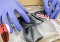 Scientific Police opens evidence bag with firearm in Laboratorio forensic equipment