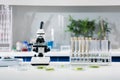 Scientific tools and plants at workplace Royalty Free Stock Photo