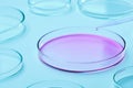 Scientist adds an agar media to Petri dish with a pipette in microbiological laboratory on the blue background