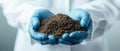 Scientist Analyzing Soil Samples in Laboratory Royalty Free Stock Photo