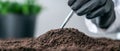 Scientist Analyzing Soil Samples in Laboratory Royalty Free Stock Photo