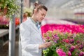 A scientist biologist woman in a white coat cares and tests the flowers in the greenhouse.