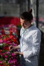 A scientist biologist woman in a white coat cares and tests the flowers in the greenhouse. Royalty Free Stock Photo