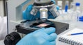 Scientist in blue gloves examines slide under microscope in laboratory Royalty Free Stock Photo