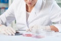Scientist checking Petri dishes Royalty Free Stock Photo