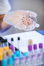 Scientist checking Petri dishes Royalty Free Stock Photo