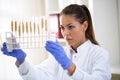 Scientist checking sample of wheat at tubes Royalty Free Stock Photo