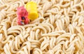 Scientist checking toxic on instant noodle