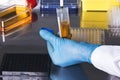 Scientist collecting a sample from a test tube for a clinical te Royalty Free Stock Photo