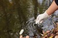 A scientist collects river water in a glass beaker