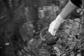 A scientist collects river water in a glass beaker