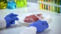 Scientist conducting meat quality test, dripping liquid on glass, asf outbreak