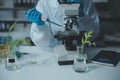 Scientist cutting plant tissue culture in petri dish, performing laboratory experiments. Small plant testing. Asparagus and other Royalty Free Stock Photo