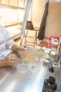 Scientist cutting plant tissue culture in petri dish, small plant testing, asparagus and other tropical plant. Thailand Royalty Free Stock Photo
