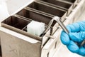 Scientist dewaxing paraffin embedded tissue samples in the laboratory. Xylene-based removal of paraffin Royalty Free Stock Photo