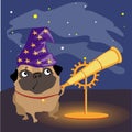 Scientist dog pug watching the stars