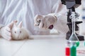 The scientist doing animal experiment in lab with rabbit