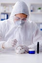 The scientist doing animal experiment in lab with rabbit Royalty Free Stock Photo