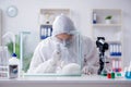 The scientist doing animal experiment in lab with rabbit