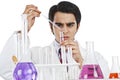 Scientist doing scientific experiment in a laboratory Royalty Free Stock Photo