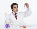 Scientist doing scientific experiment in a laboratory Royalty Free Stock Photo