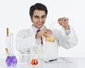 Scientist doing scientific experiment in a laboratory Royalty Free Stock Photo