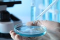 Scientist dripping liquid from pipette into petri dish in laboratory, closeup Royalty Free Stock Photo