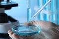 Scientist dripping liquid from pipette into petri dish in laboratory, closeup Royalty Free Stock Photo